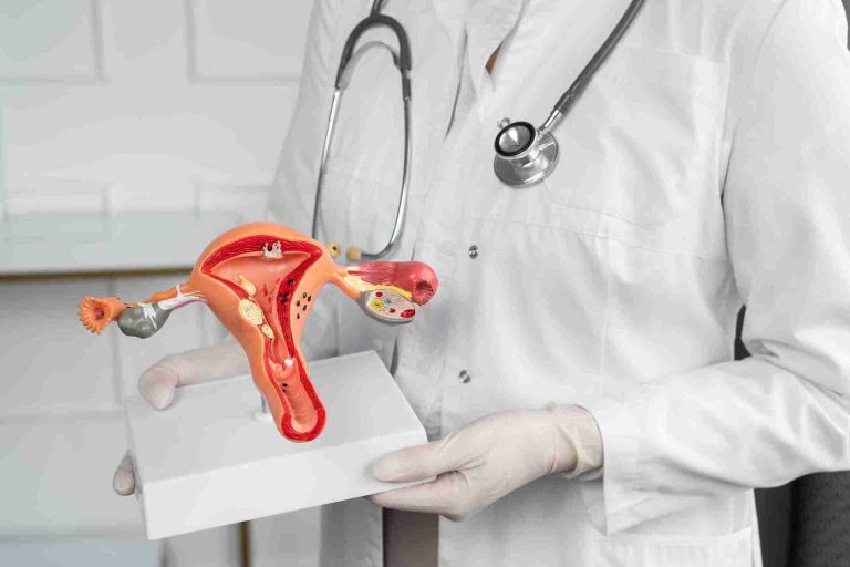 6843d704774c516b1b425169_side-view-doctor-holding-anatomic-model_11zon