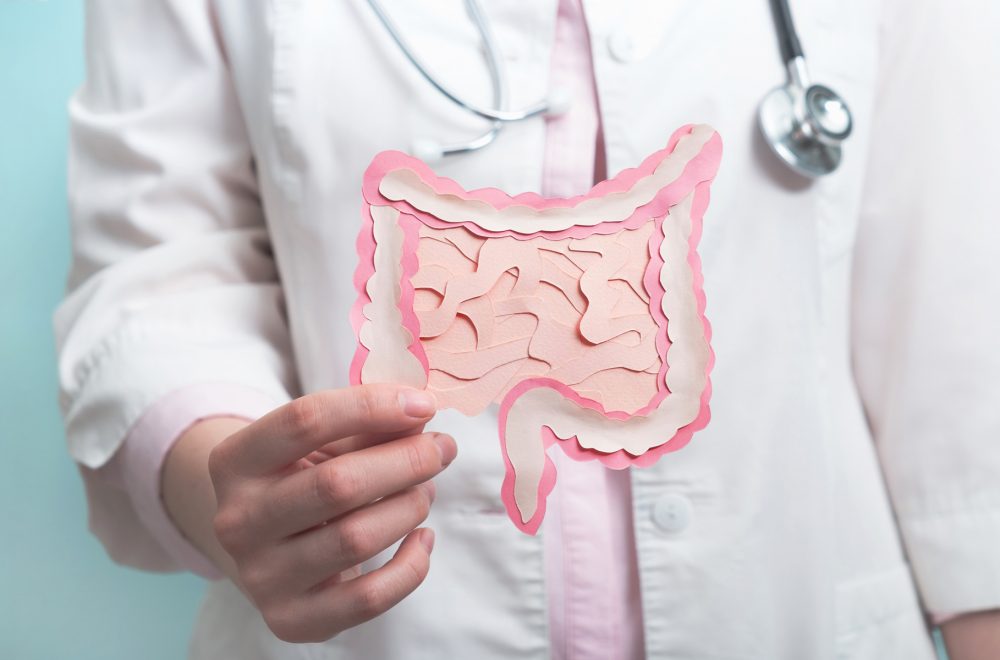 Cortisol on Gut Health