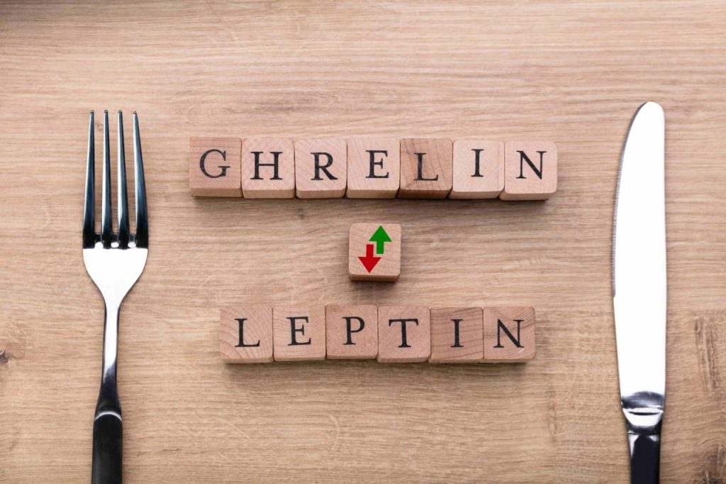 leptin and ghrelin