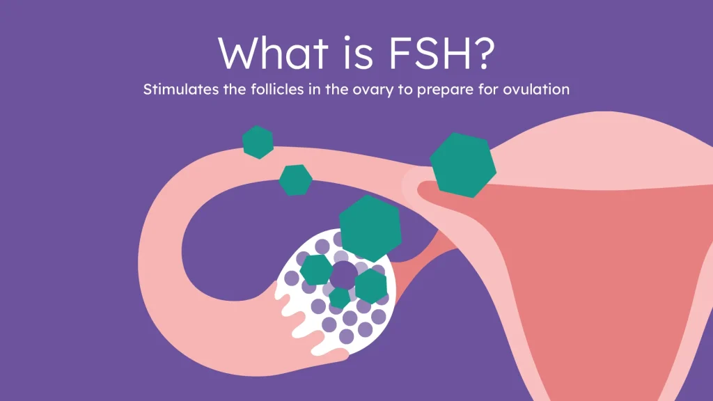 Follicle-Stimulating Hormone