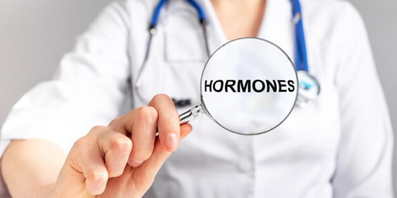 Estradiol Dan Progesterone