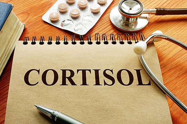 Kortisol & Insulin